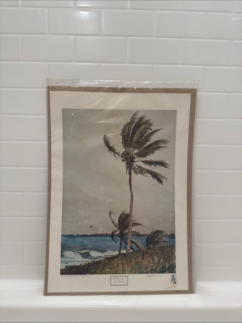 Palm Tree Coastal Art Print - Neutral Tones
